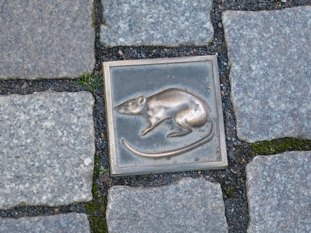 kammerjäger